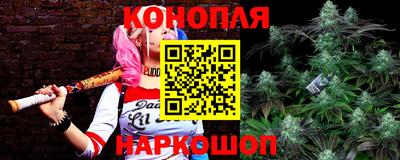 ALPHA PVP Камышлов