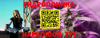 МДПВ Канаш