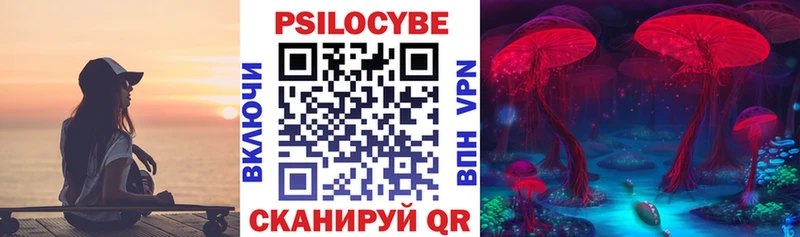где можно купить   Новочеркасск  Галлюциногенные грибы Magic Shrooms 