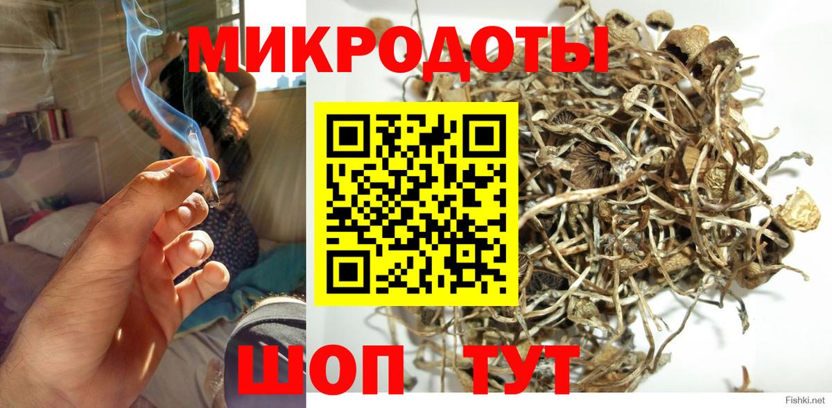 Новочеркасск  Псилоцибиновые грибы мухоморы  Вход с VPN  Галлюциногенные грибы Psilocybe 