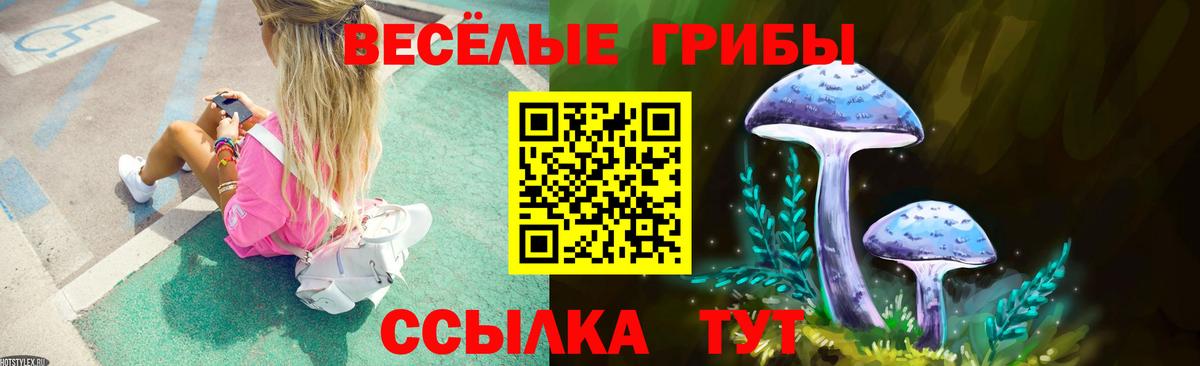 Псилоцибиновые грибы ЛСД Новочеркасск